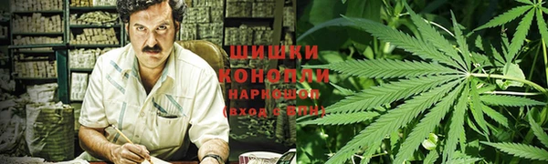 МДПВ Волоколамск