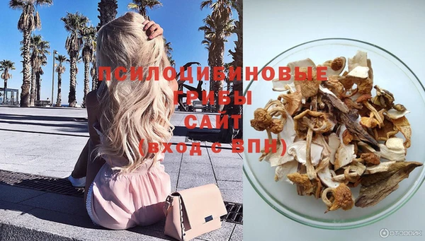 МДПВ Волоколамск