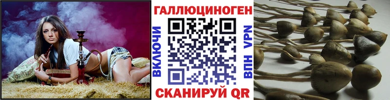 Псилоцибиновые грибы Cubensis  Нижнекамск 